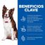 Hill's Science Plan Perfect Digestion Adult Medium Pollo pienso para perros, , large indicador imagen numero 3
