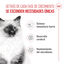 10 kg Royal Canin Kitten pienso para gatos, , large indicador imagen numero 4