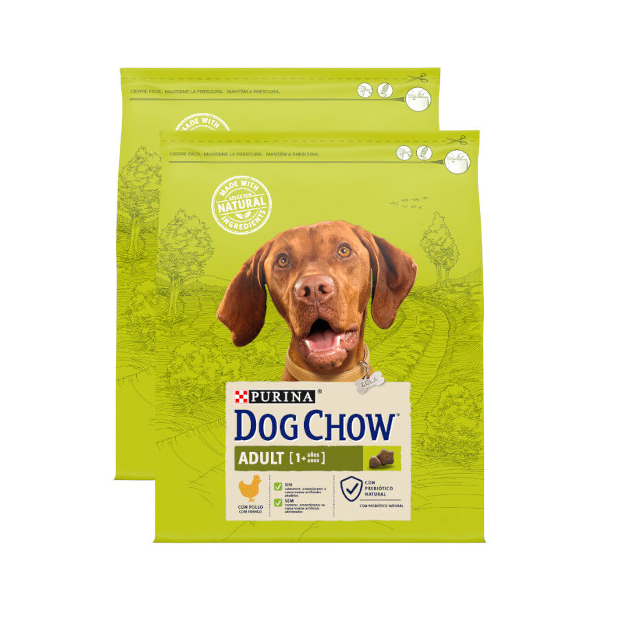 Dog Chow Adult Pollo pienso para perros