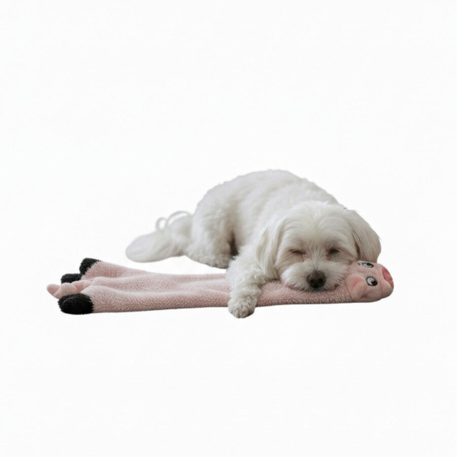 LOVE THE EARTH Peluche Cerdo con Sonido para perros, , large Imagen numero 4