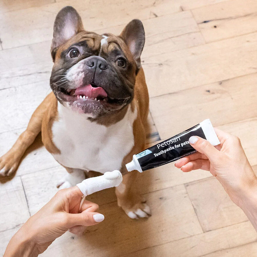Petosan Pasta de Dientes con Sabor a Pollo para perros y gatos thumbnail