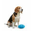 All For Paws Meta Ball Pelota Azul Juguete para perros, , large indicador imagen numero 3