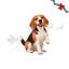 1 pack x 6 uds. Wonder Christmas Muslo de Pollo Snacks para perros, , large indicador imagen numero 1