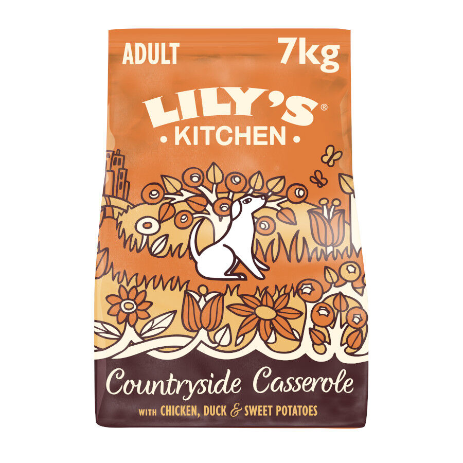 Lily's Kitchen Adult Pollo y Pato pienso para perros