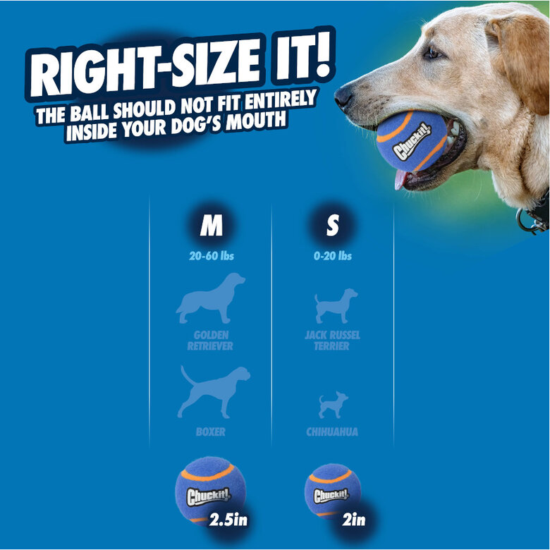 Chuckit! Squeaker Pelota de Tenis con Sonido y Rebote para perros,  Imagen numero 5 Chuckit! Squeaker Pelota de Tenis con Sonido y Rebote para perros, , large Imagen numero 5
