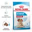 15 kg Royal Canin Medium Starter Mother&Baby pienso para perros, , large indicador imagen numero 2