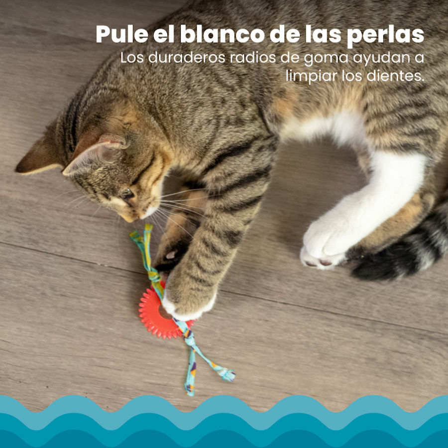 Catstages Kitty Chew Roja Rueda Mordedor para gatos, , large Imagen numero 5