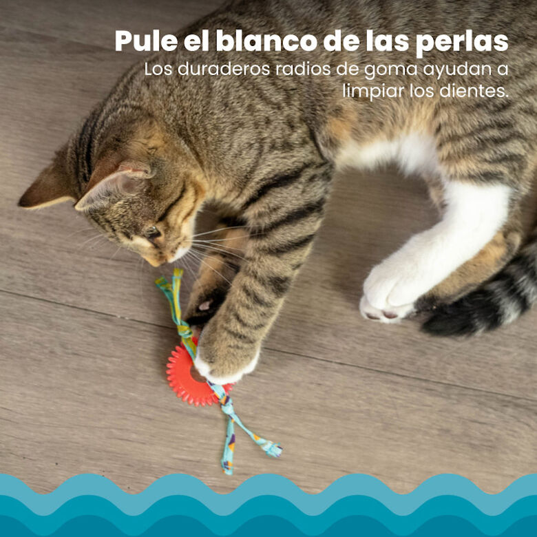 Catstages Kitty Chew Roja Rueda Mordedor para gatos thumbnail