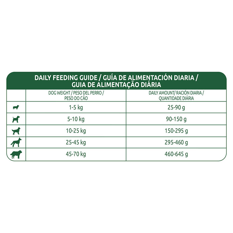 Affinity Libra Adult Cordero pienso para perros, , large image number null