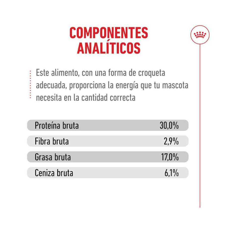 Royal Canin Ageing 11+ pienso para gatos thumbnail