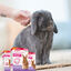 Beaphar RabbitComfort Difusor y Recambio para conejos, , large indicador imagen numero 9
