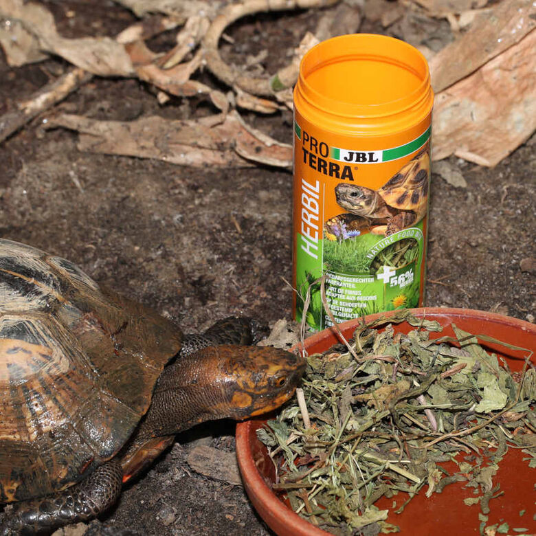 JBL Proterra Herbil alimento para tortugas thumbnail