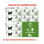 Royal Canin Active Life Outdoor pienso para gatos, , large indicador imagen numero 7