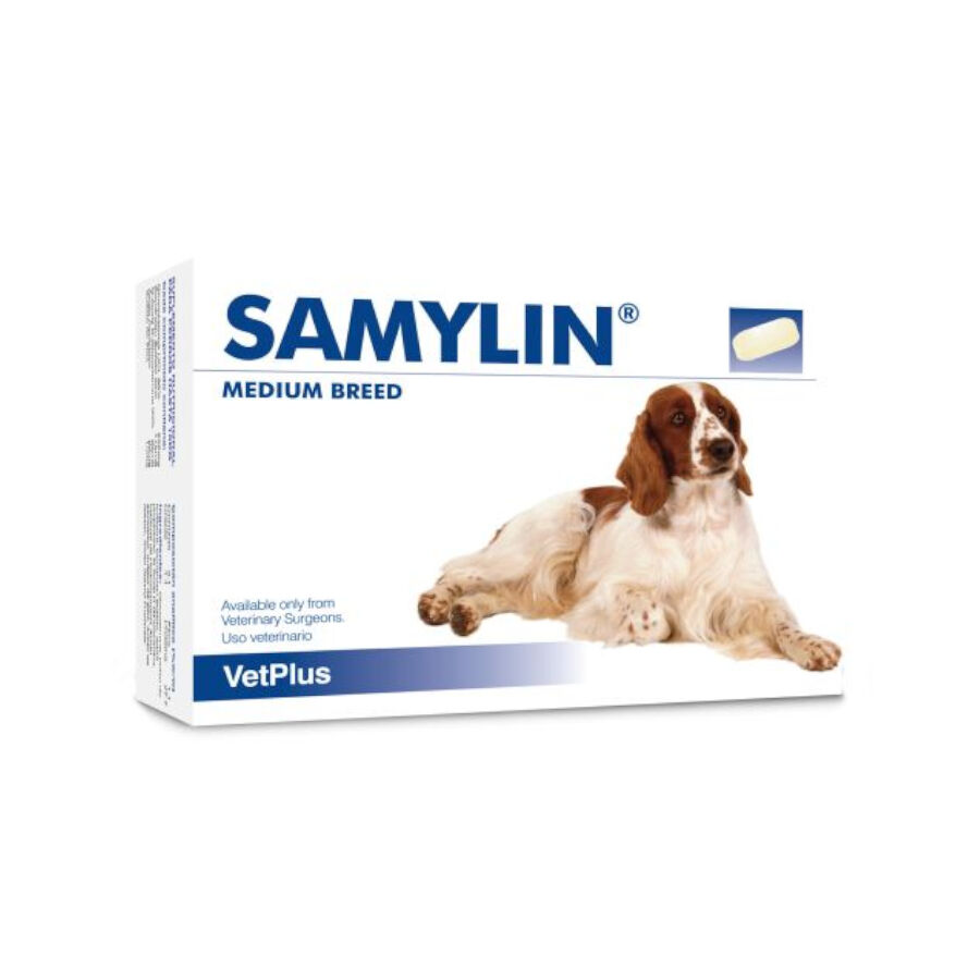 30 comprimidos VetPlus Samylin Medium Comprimidos para perros, , large Imagen numero 1