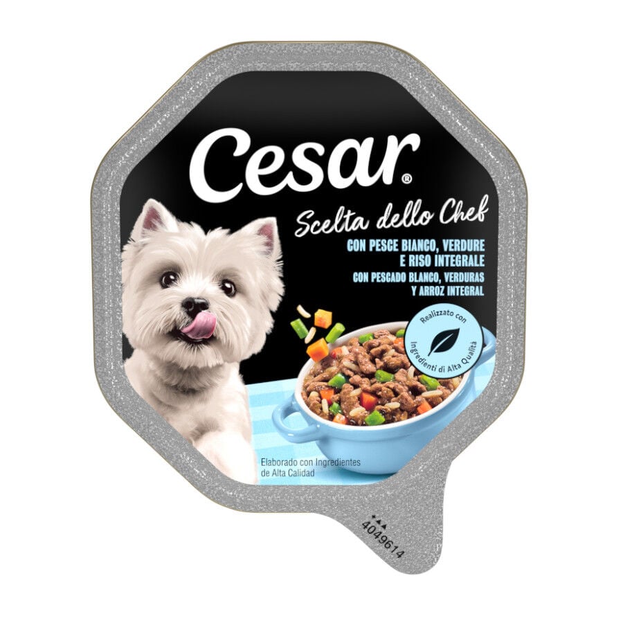 150 g Cesar Recetas del Chef Pescado con Verduras tarrina para perros, , large Imagen numero 1