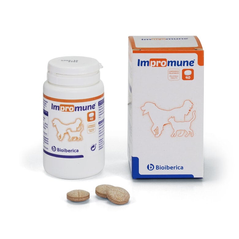 40 comprimidos Bioiberica Impromune Suplemento Alimenticio para perros y gatos,  Imagen numero 1 40 comprimidos Bioiberica Impromune Suplemento Alimenticio para perros y gatos, , large Imagen numero 1