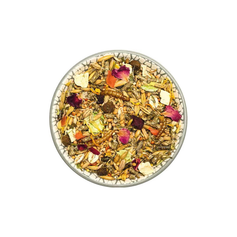 Bunny Dream Basic Alimento Nutricional Básico para hámster enanos.,  Imagen numero 2 Bunny Dream Basic Alimento Nutricional Básico para hámster enanos., , large Imagen numero 2