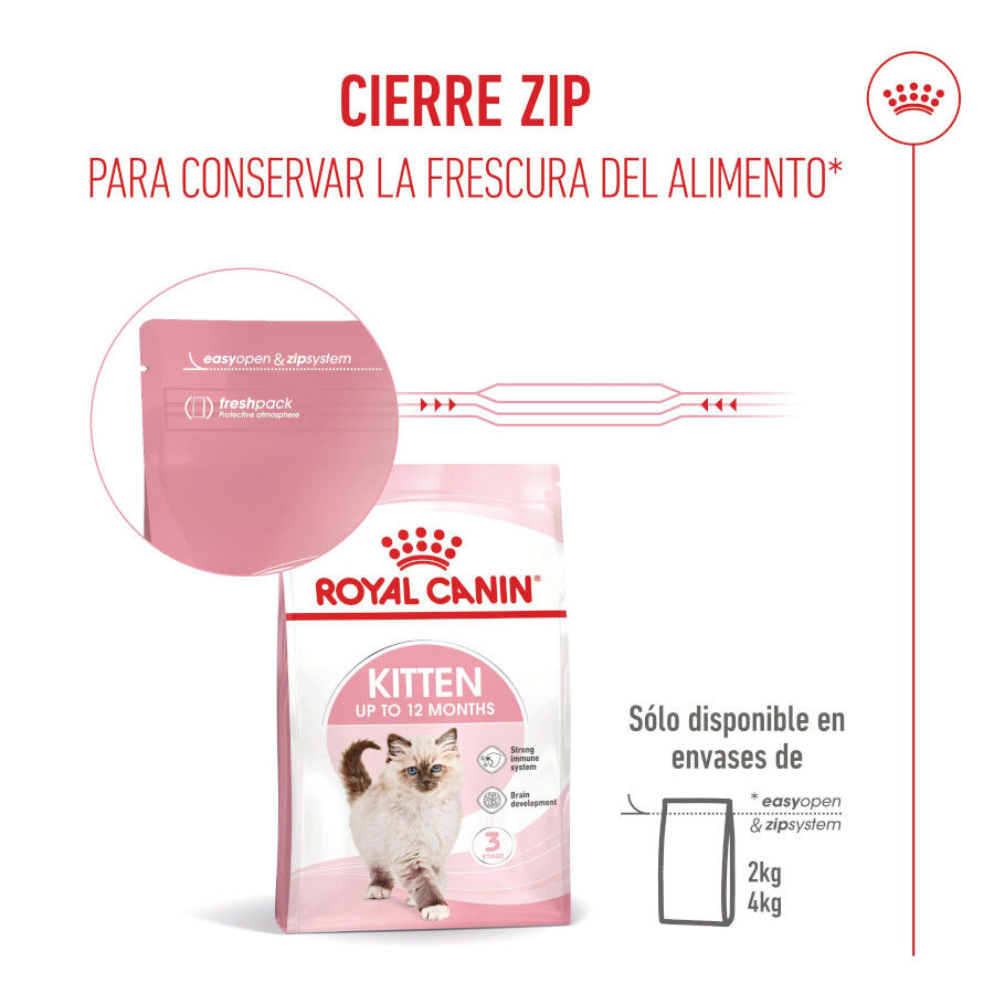 Royal Canin Kitten pienso para gatos thumbnail