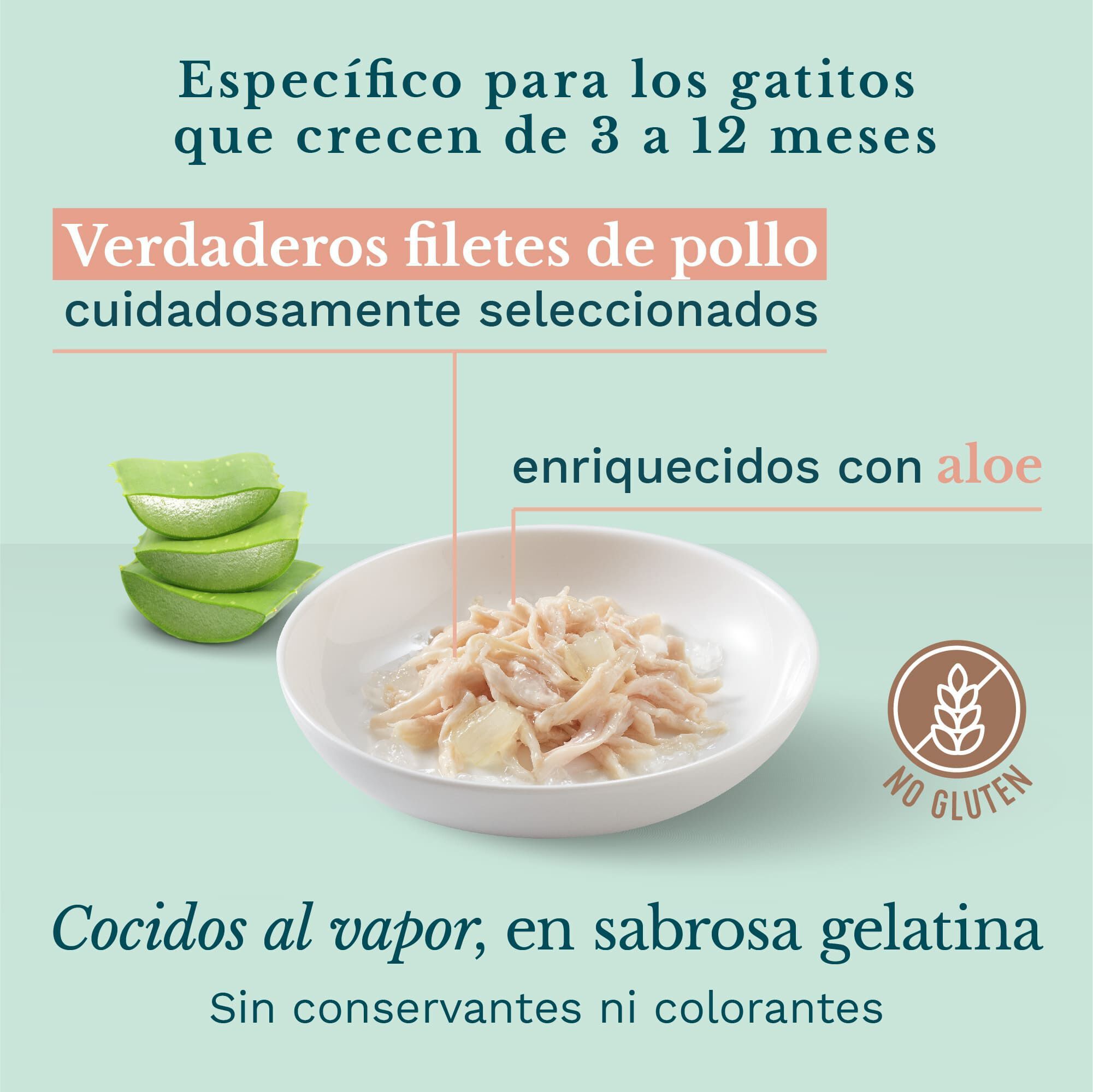 Schesir Kitten pollo con aloe latas para gatitos thumbnail