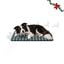 Wonder Christmas Set Manta y Cojin Hueso para perros, , large indicador imagen numero 1