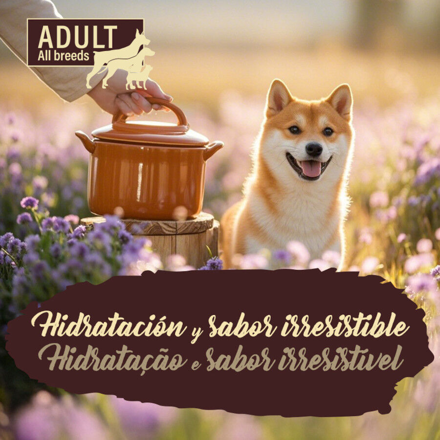 True Origins Pure Adult Gently Coocked Pavo y Patata sobre para perros thumbnail