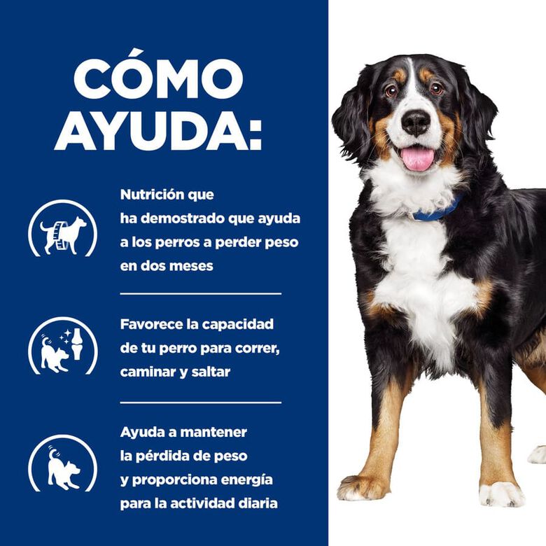 Hill&#039;s Prescription Diet j/d Metabolic + Mobility pienso para perros thumbnail