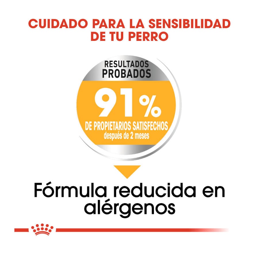 Royal Canin Dermacomfort Maxi pienso para perros thumbnail