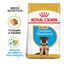 12 kg Royal Canin Puppy Pastor Alemán pienso para perros, , large indicador imagen numero 2