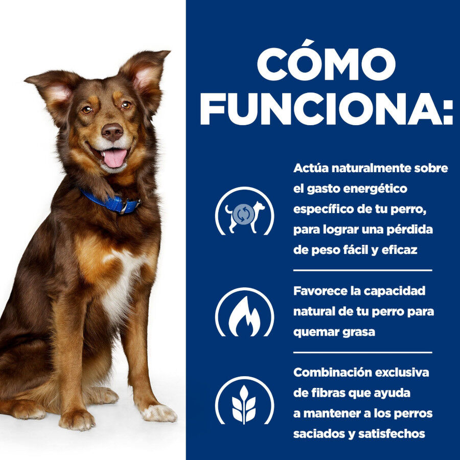 12 kg Hill's Prescription Diet Metabolic cordero y arroz pienso para perros, , large Imagen numero 6