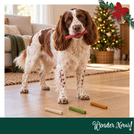 Wonder Christmas Palitos Inflados Snacks para perros