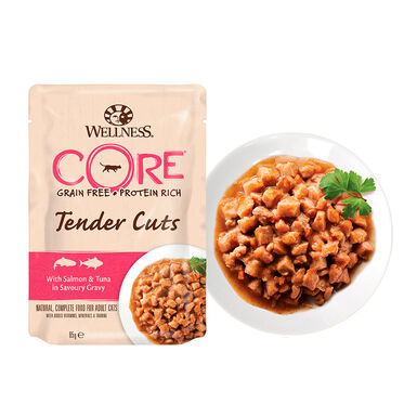 Wellness Core Tender Cuts salmón y atún sobre en salsa para gatos