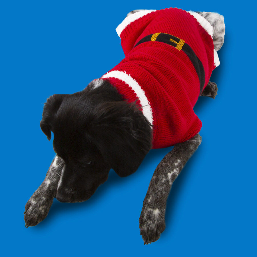 Wonder Christmas Santa jersey navideño para perros thumbnail
