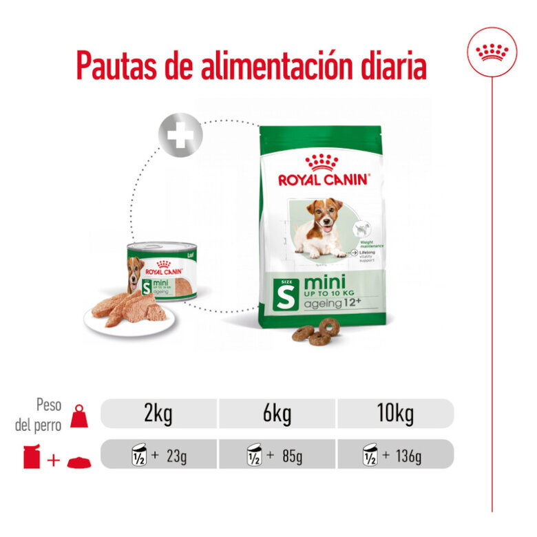 195 g Royal Canin Mini 8+ Ageing lata para perros,  Imagen numero 6 195 g Royal Canin Mini 8+ Ageing lata para perros, , large Imagen numero 6