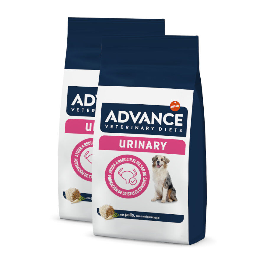 Advance Veterinary Diets Urinary pienso para perros thumbnail