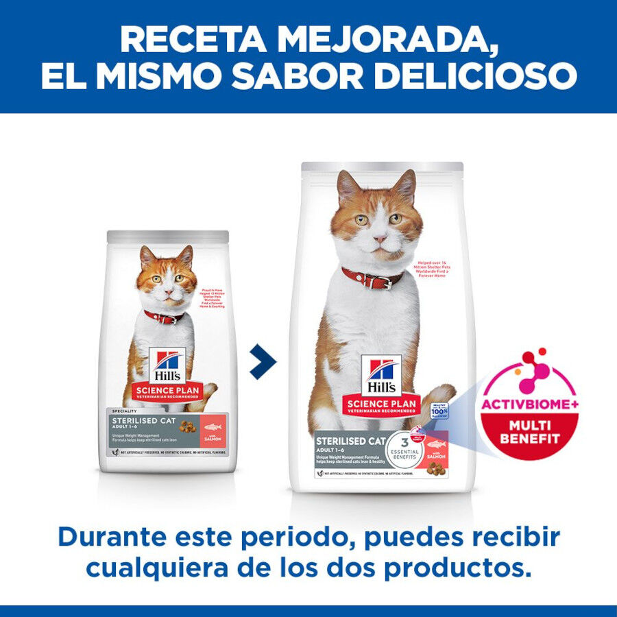 10 kg Hill's Science Plan Sterilised Adult Salm&oacute;n pienso para gatos, , large Imagen numero 3