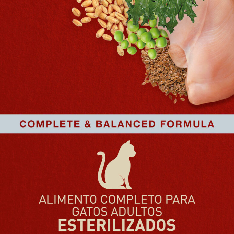 Catxtreme Adult Skin &amp; Coat Sterilised Pollo pienso para gatos thumbnail