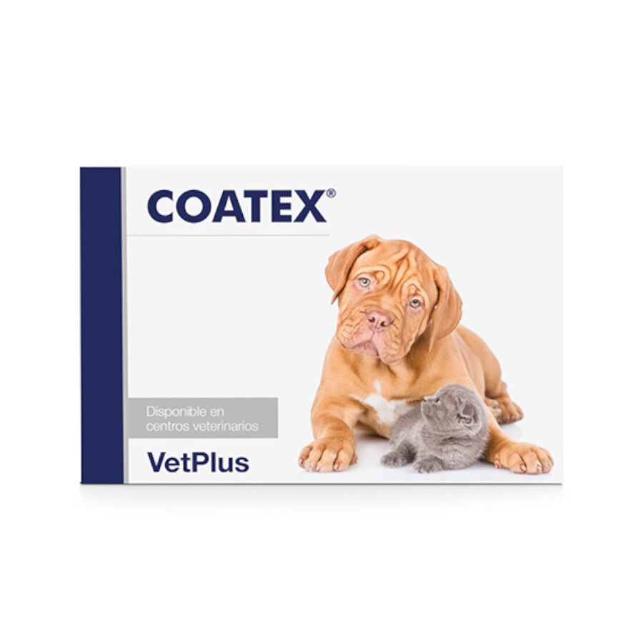 240 comprimidos VetPlus Coatex Suplemento Vitam&iacute;nico para mascotas, , large Imagen numero 1