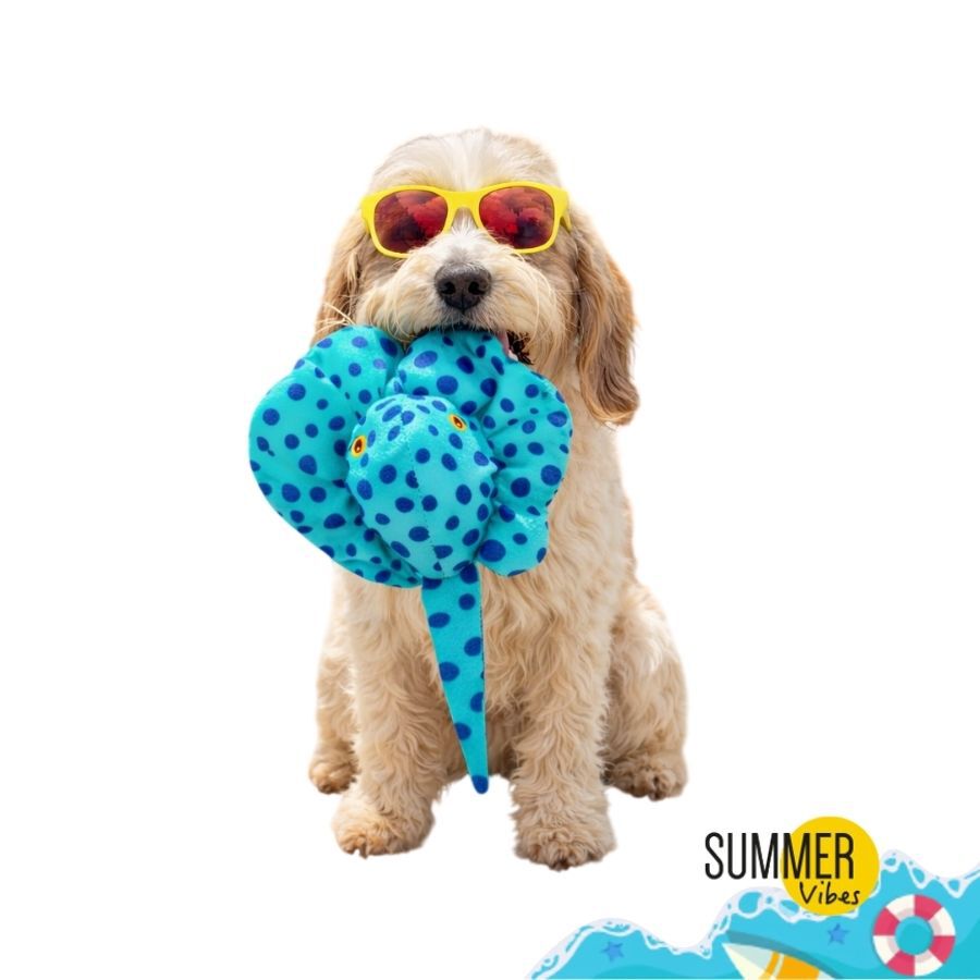 Summer Vibes Mantarraya Peluche  para perros, , large Imagen numero 7