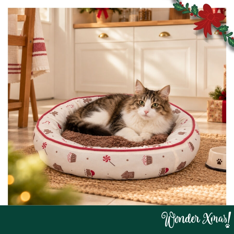 Wonder Christmas Cama Donut Estampado Dulce para gatos, , large Imagen numero 2
