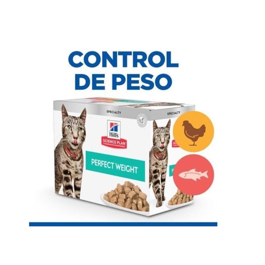 Hill&#039;s Science Plan Perfect Weight Salmón y Pollo sobre para gatos - Multipack 12 thumbnail