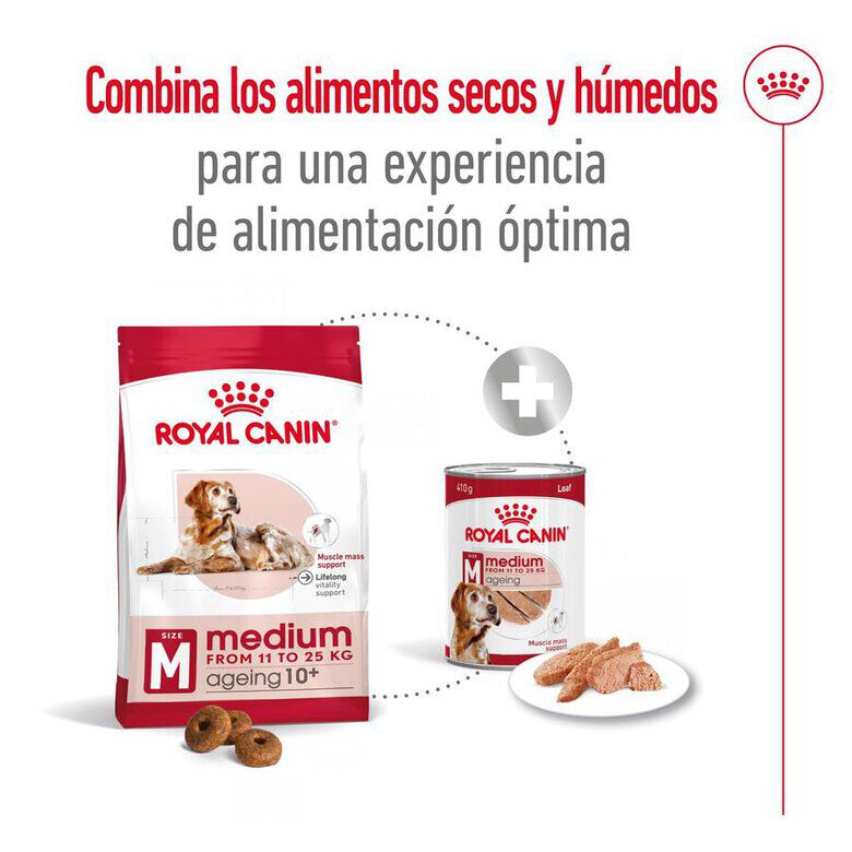 Royal Canin Medium 10+ Ageing pienso para perros thumbnail