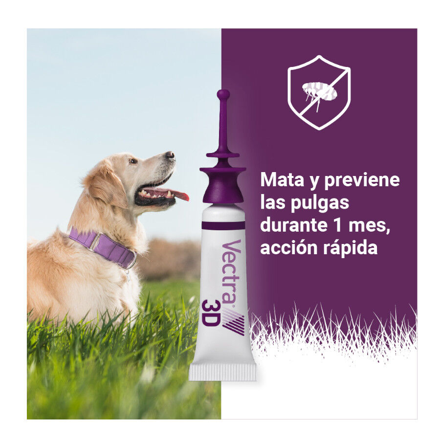 Vectra 3D Pipetas Antiparasitarias para perros thumbnail