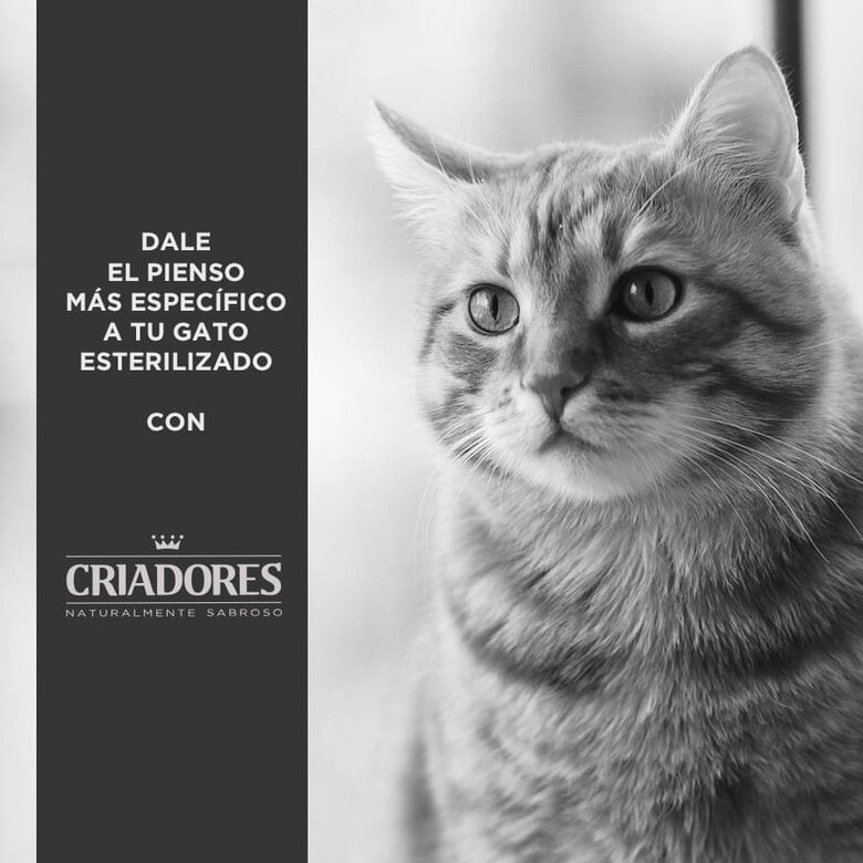12 kg Criadores Adulto Esterilizado Pollo pienso para gatos,  Imagen numero 4 12 kg Criadores Adulto Esterilizado Pollo pienso para gatos, , large Imagen numero 4
