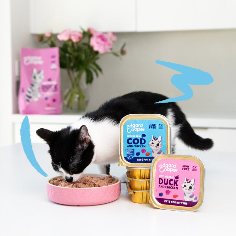 85 g Edgard & Cooper Kitten Bacalao y Pollo en Paté tarrina para gatitos,  Imagen numero 2 85 g Edgard & Cooper Kitten Bacalao y Pollo en Paté tarrina para gatitos, , large Imagen numero 2