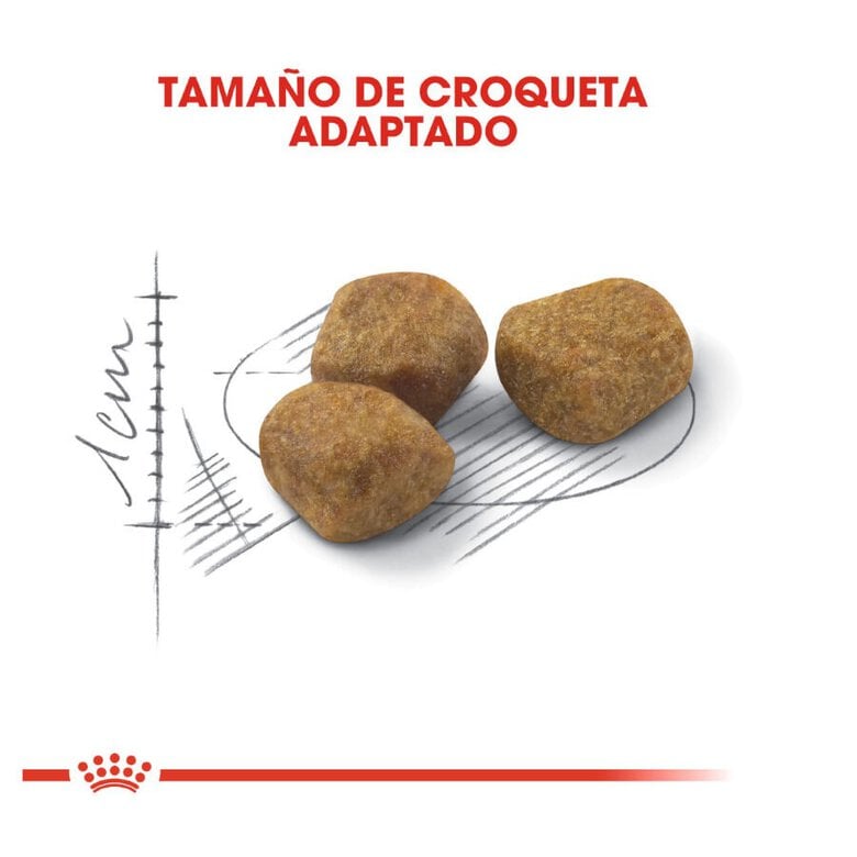 3.5 kg Royal Canin Home Life Indoor 7+ pienso para gatos,  Imagen numero 4 3.5 kg Royal Canin Home Life Indoor 7+ pienso para gatos, , large Imagen numero 4