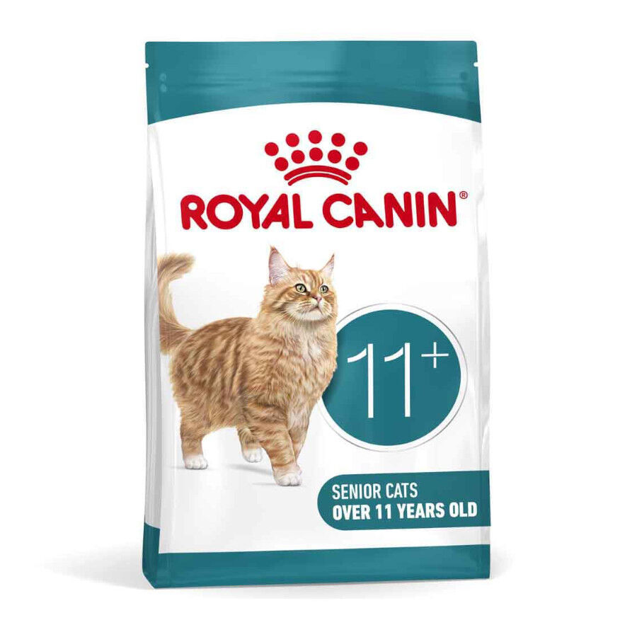 2 kg Royal Canin Ageing 11+ pienso para gatos, , large Imagen numero 1