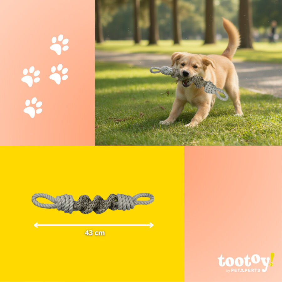 Tootoy! Mordedor de Cuerda con Nudos para perros thumbnail