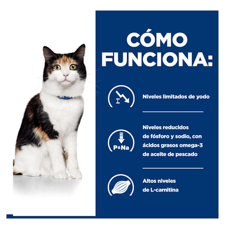 Hill's Prescription Diet Thyroid Care y/d pienso para gatos, , large image number null