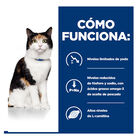 Hill's Prescription Diet Thyroid Care y/d pienso para gatos, , large image number null