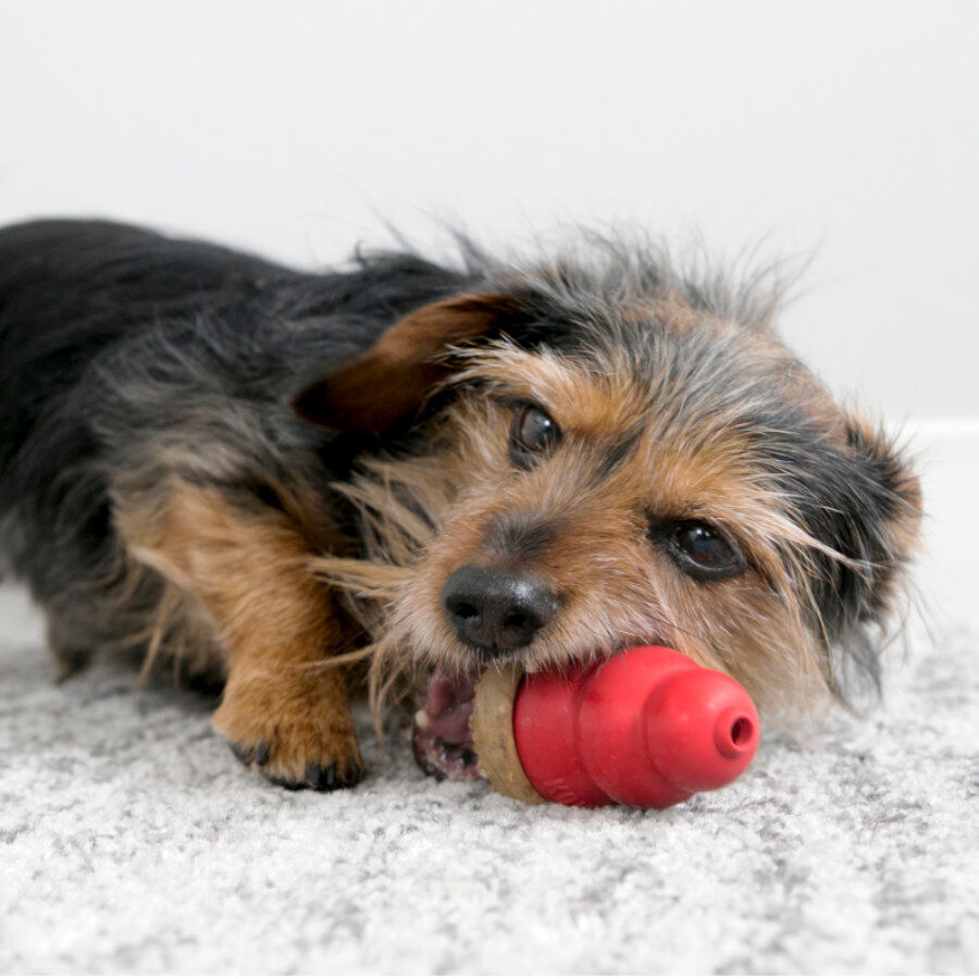 S Kong Marathon sabor a pollo para perros, , large Imagen numero 3